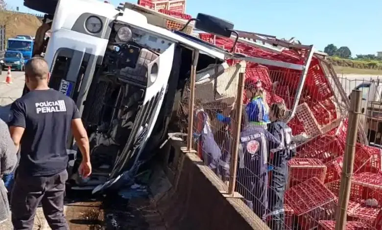 Motorista morre após caminhão carregado com galinhas tombar na BR-262, em Juatuba