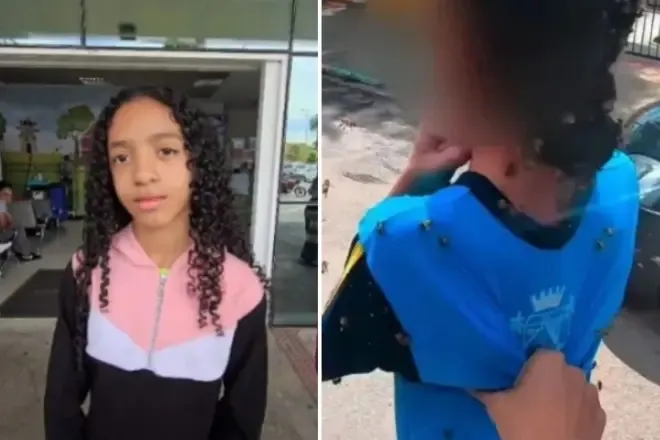 Menina de 12 anos atacada por abelhas na Grande BH recebe alta e relembra resgate