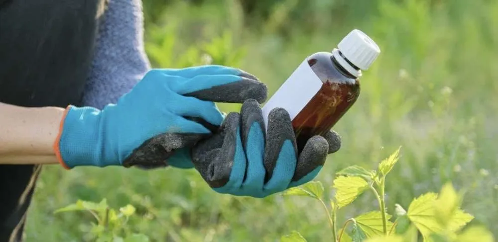 Atenção, produtor rural: faça a devolução das embalagens de agrotóxicos