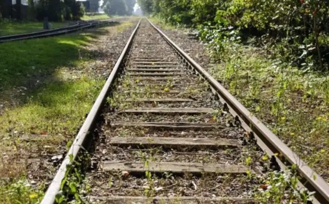Empresas privadas planejam investir mais de R$ 1 bilhão na Ferrovia do Café para ligar Minas ao Rio